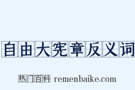 自由大宪章反义词是什么意思的图片